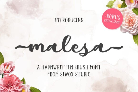 A Designer's Honest Review of the Malesa Brush Font