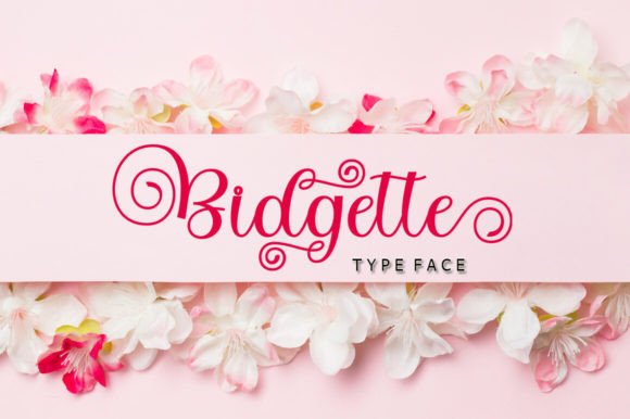 Bidgette: A Designer’s Take on a Refined Script